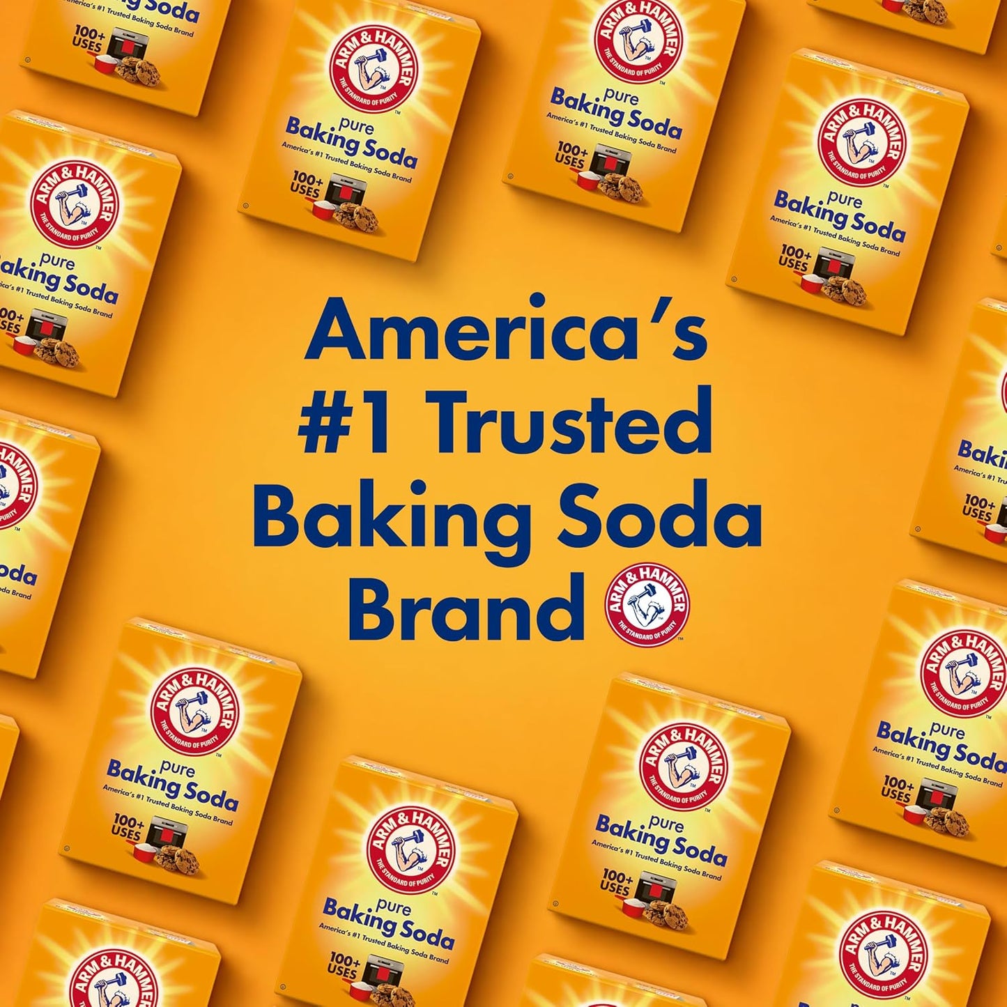 ARM & HAMMER Baking Soda, 2.7 Lbs