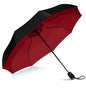 Windproof Travel Umbrella - Compact & Withstands Winds up to 100MPH, Strongest Premium Auto Folding Umbrella for Rain and Sun - Durable, Light & Portable for Women & Men, Fits Backpack & Cars