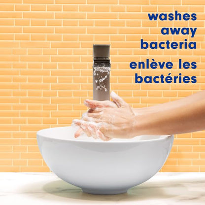 Softsoap Antibacterial Liquid Hand Soap, White Tea & Berry Scent, 50 fl oz
