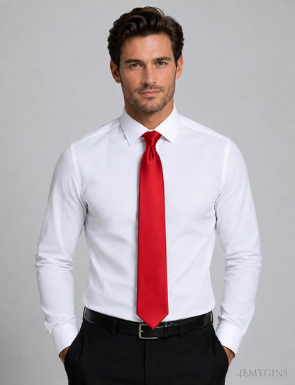JEMYGINS Solid Color Tie Mens Necktie for Business and Wedding