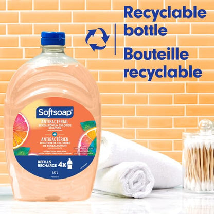 Softsoap Antibacterial Liquid Hand Soap, White Tea & Berry Scent, 50 fl oz