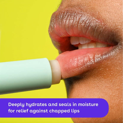 eos 100% Natural Lip Balm - Strawberry Sorbet and Pomegranate Raspberry, All-Day Moisture, Lip Care Products, 0.14 oz, 2-Pack