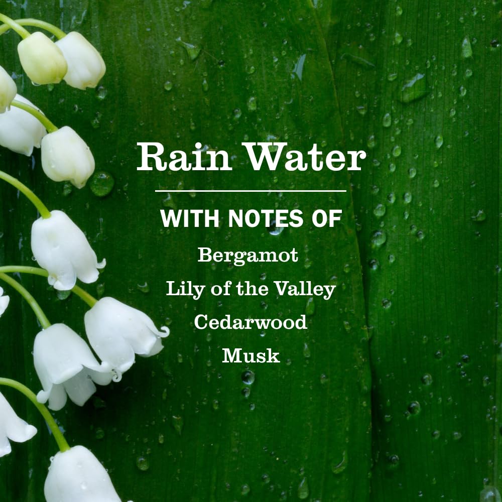 Mrs. Meyer's Clean Day, Hand Soap, Lavender Scent, 12.5 Fl Oz