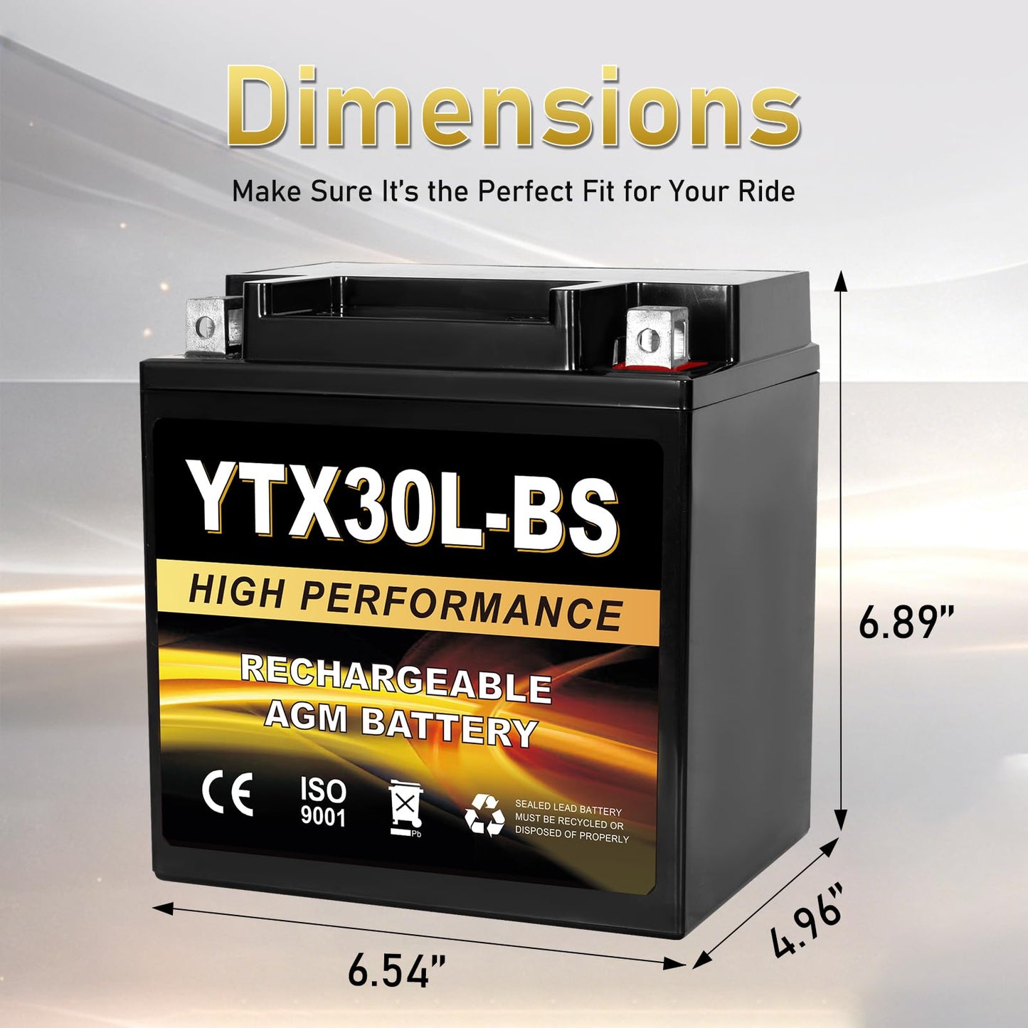 YTX14AH-BS 12V 12Ah Motorcycle Battery, 220CCA Rechargeable Maintenance Free Sealed AGM Battery, Powersport Replacement for ATV, UTV, Scooter