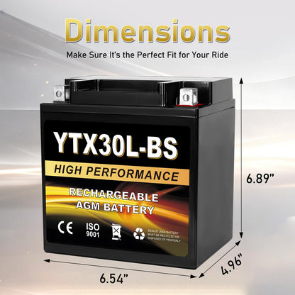 YTX14AH-BS 12V 12Ah Motorcycle Battery, 220CCA Rechargeable Maintenance Free Sealed AGM Battery, Powersport Replacement for ATV, UTV, Scooter