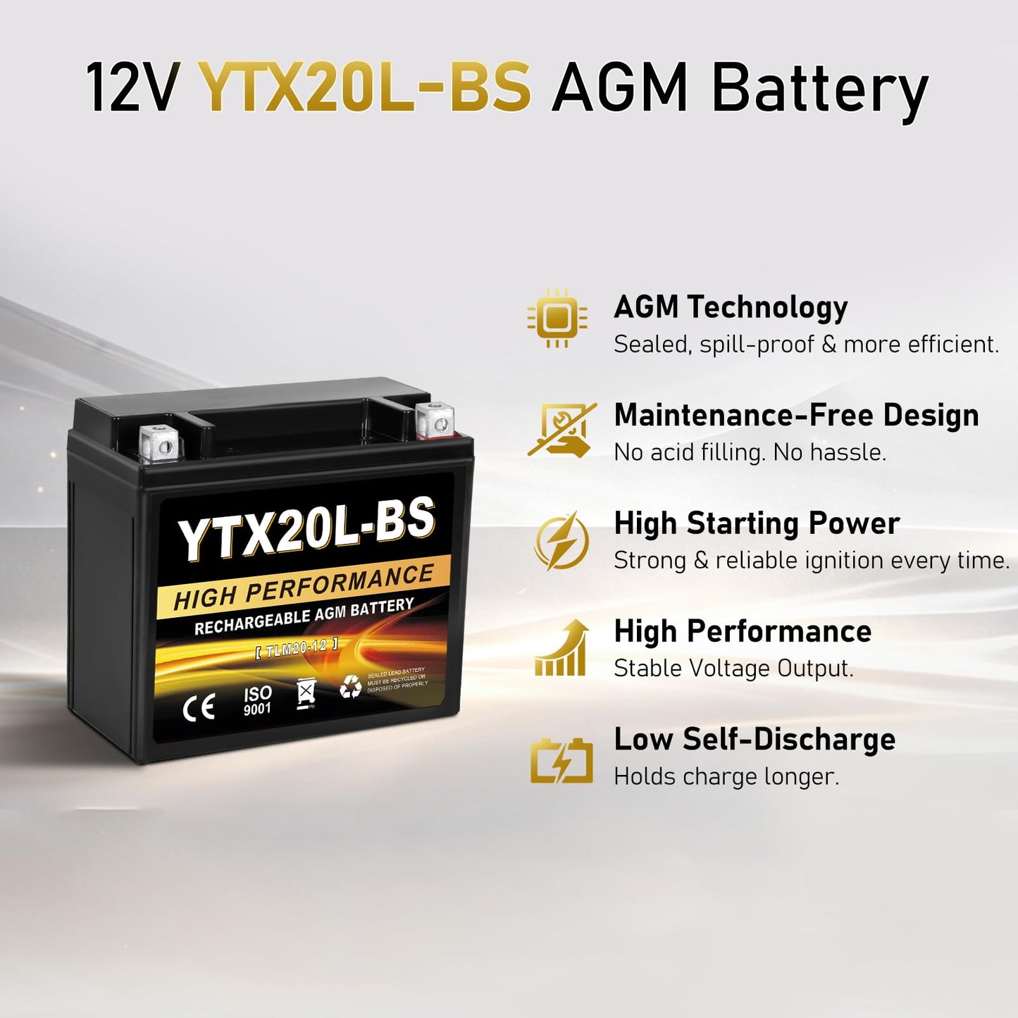 YTX14AH-BS 12V 12Ah Motorcycle Battery, 220CCA Rechargeable Maintenance Free Sealed AGM Battery, Powersport Replacement for ATV, UTV, Scooter
