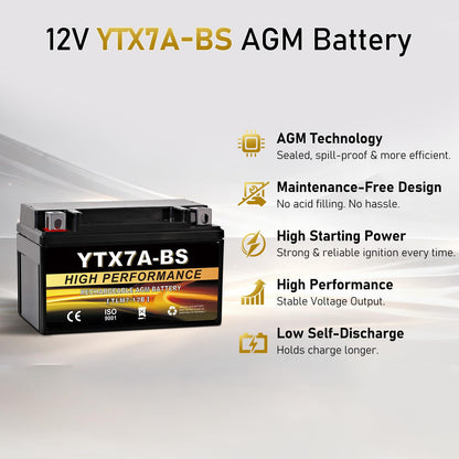 YTX14AH-BS 12V 12Ah Motorcycle Battery, 220CCA Rechargeable Maintenance Free Sealed AGM Battery, Powersport Replacement for ATV, UTV, Scooter