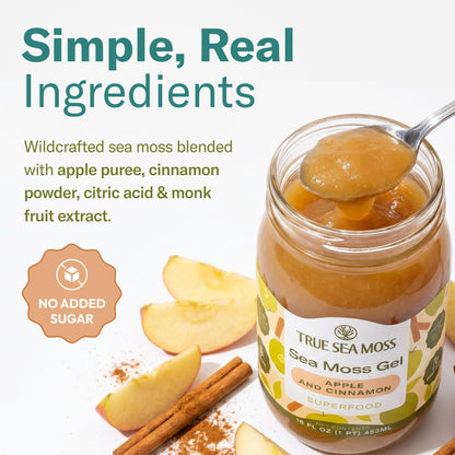 TrueSeaMoss Sea Moss Gel – Made in USA – Wildcrafted Seamoss, Fruits & Jarred Vegetables – Mango, Pack of 3 (Labels may Vary)