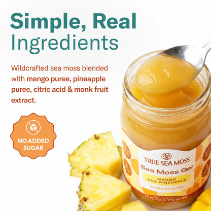 TrueSeaMoss Sea Moss Gel – Made in USA – Wildcrafted Seamoss, Fruits & Jarred Vegetables – Mango, Pack of 3 (Labels may Vary)