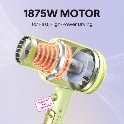 Wavytalk Blown Away Ionic Hair Dryer with Diffuser for Curly Hair