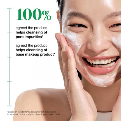 Anua Heartleaf Quercetinol Pore Deep Cleansing Foam, 5.07 fl.oz