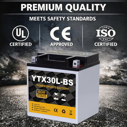 YTX14AH-BS 12V 12Ah Motorcycle Battery, 220CCA Rechargeable Maintenance Free Sealed AGM Battery, Powersport Replacement for ATV, UTV, Scooter