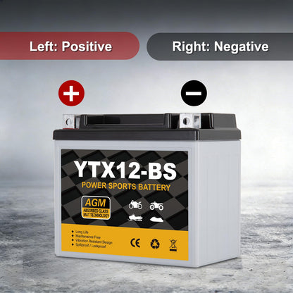 YTX14AH-BS 12V 12Ah Motorcycle Battery, 220CCA Rechargeable Maintenance Free Sealed AGM Battery, Powersport Replacement for ATV, UTV, Scooter
