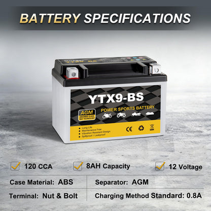 YTX14AH-BS 12V 12Ah Motorcycle Battery, 220CCA Rechargeable Maintenance Free Sealed AGM Battery, Powersport Replacement for ATV, UTV, Scooter