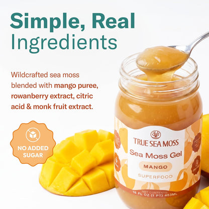 TrueSeaMoss Sea Moss Gel – Made in USA – Wildcrafted Seamoss, Fruits & Jarred Vegetables – Mango, Pack of 3 (Labels may Vary)