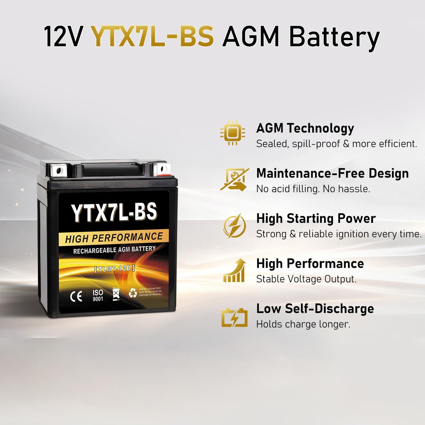 YTX14AH-BS 12V 12Ah Motorcycle Battery, 220CCA Rechargeable Maintenance Free Sealed AGM Battery, Powersport Replacement for ATV, UTV, Scooter
