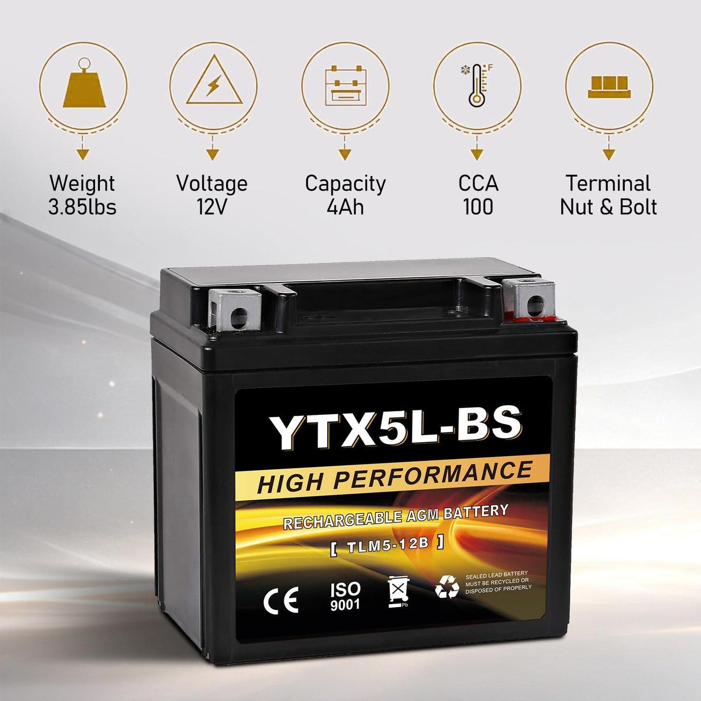 YTX14AH-BS 12V 12Ah Motorcycle Battery, 220CCA Rechargeable Maintenance Free Sealed AGM Battery, Powersport Replacement for ATV, UTV, Scooter