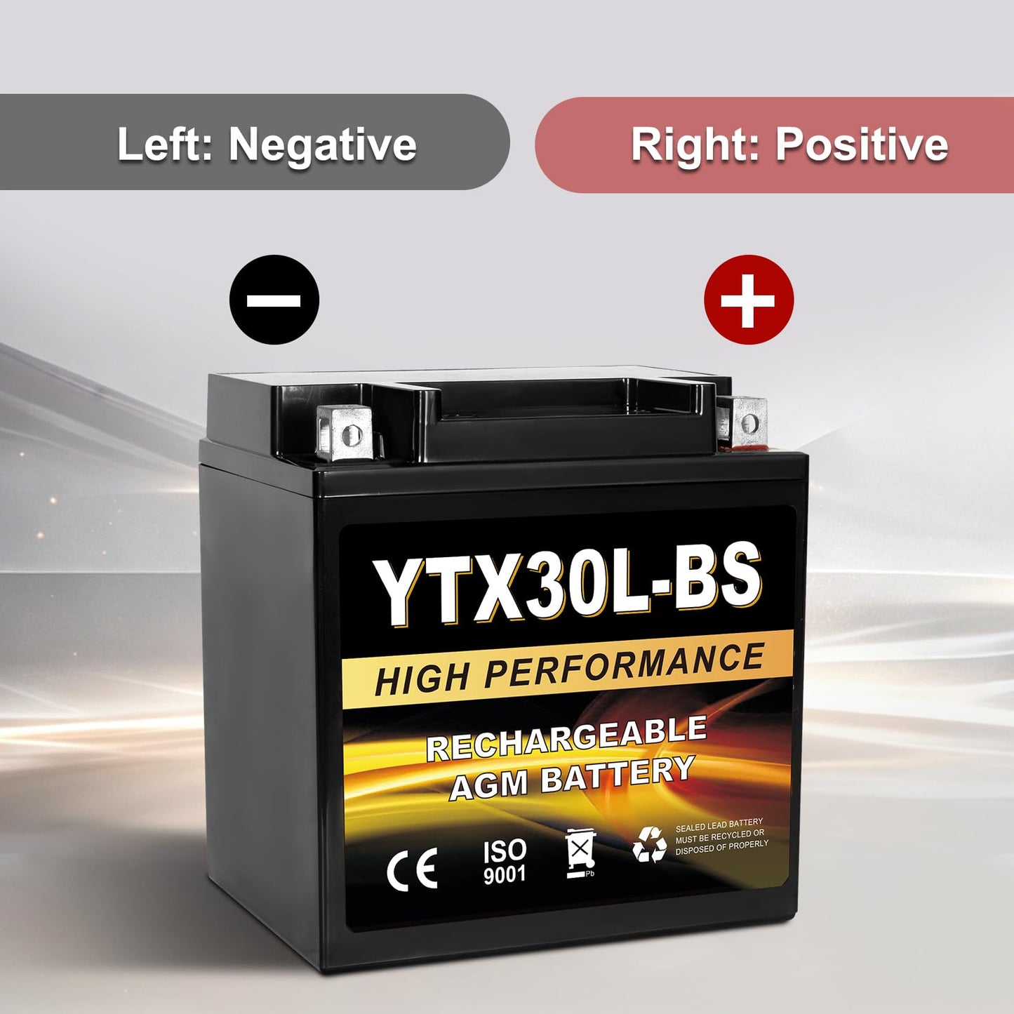 YTX14AH-BS 12V 12Ah Motorcycle Battery, 220CCA Rechargeable Maintenance Free Sealed AGM Battery, Powersport Replacement for ATV, UTV, Scooter