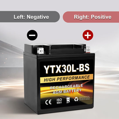 YTX14AH-BS 12V 12Ah Motorcycle Battery, 220CCA Rechargeable Maintenance Free Sealed AGM Battery, Powersport Replacement for ATV, UTV, Scooter