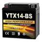 YTX14AH-BS 12V 12Ah Motorcycle Battery, 220CCA Rechargeable Maintenance Free Sealed AGM Battery, Powersport Replacement for ATV, UTV, Scooter