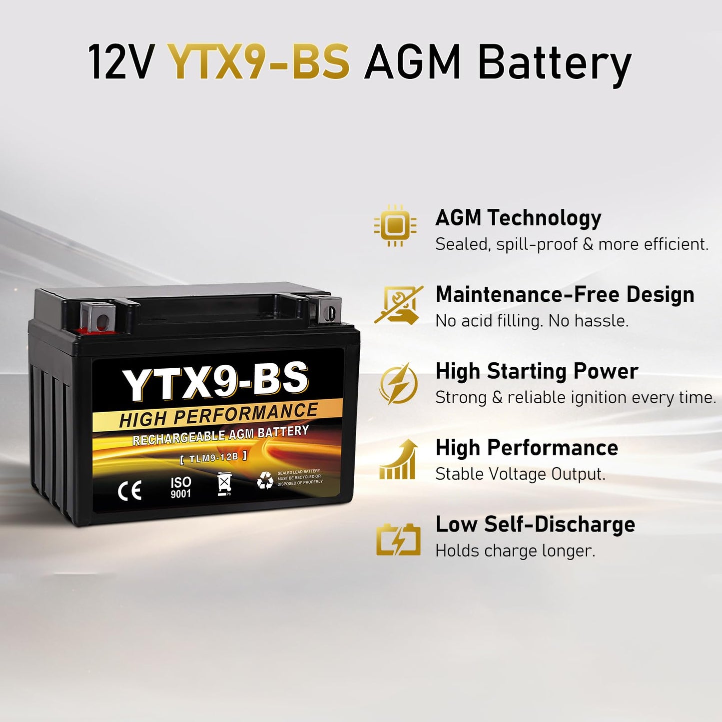 YTX14AH-BS 12V 12Ah Motorcycle Battery, 220CCA Rechargeable Maintenance Free Sealed AGM Battery, Powersport Replacement for ATV, UTV, Scooter
