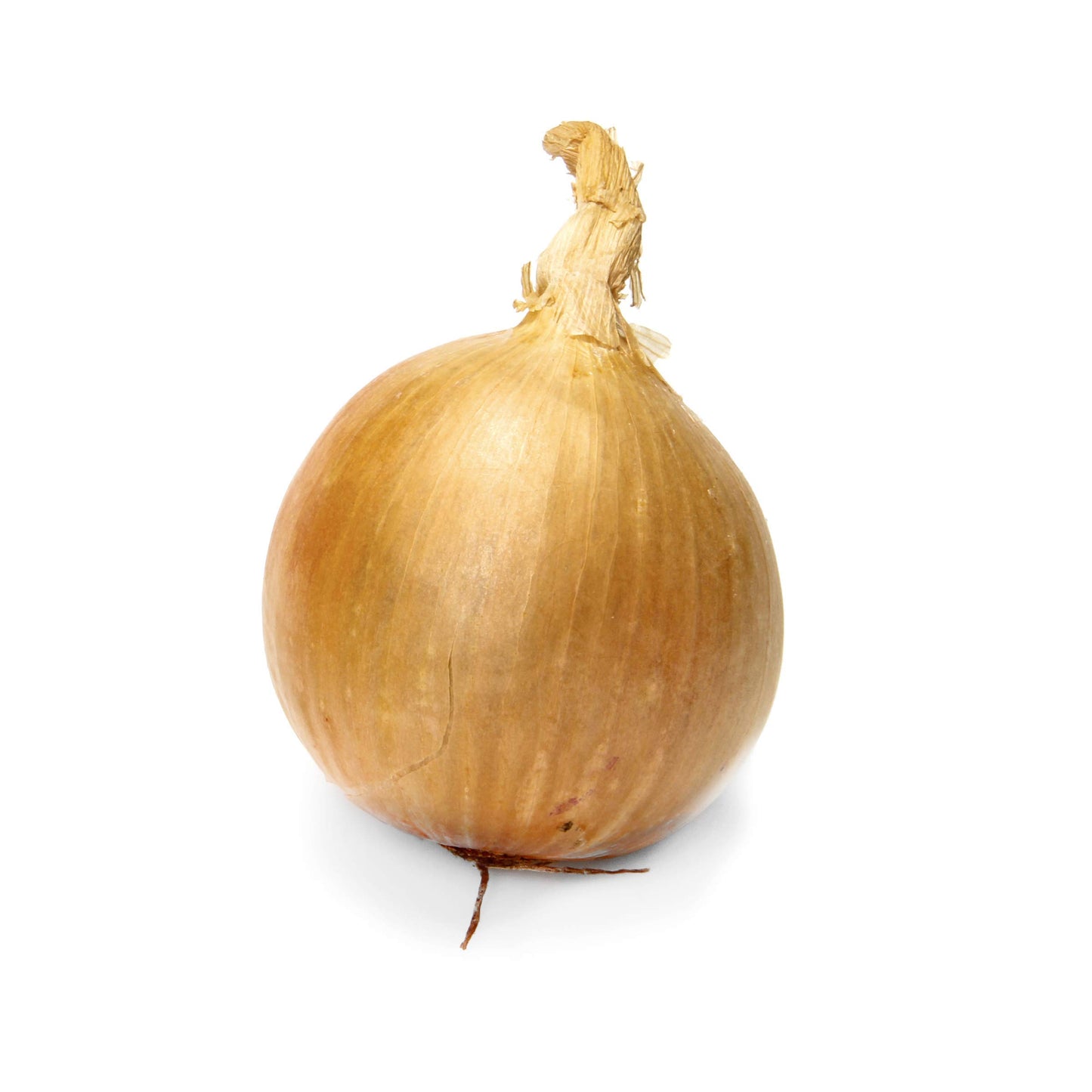Organic Red Onion, 1 Each