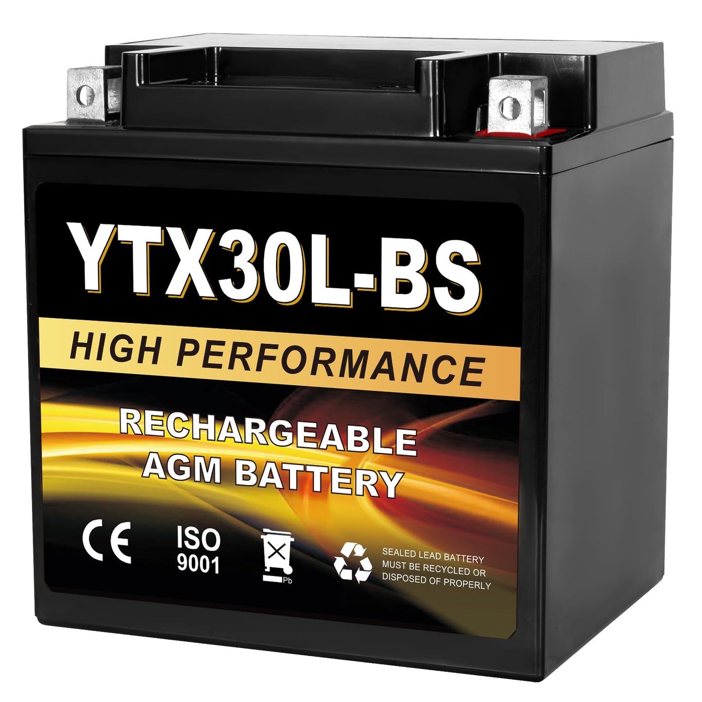 YTX14AH-BS 12V 12Ah Motorcycle Battery, 220CCA Rechargeable Maintenance Free Sealed AGM Battery, Powersport Replacement for ATV, UTV, Scooter