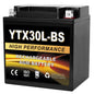 YTX14AH-BS 12V 12Ah Motorcycle Battery, 220CCA Rechargeable Maintenance Free Sealed AGM Battery, Powersport Replacement for ATV, UTV, Scooter