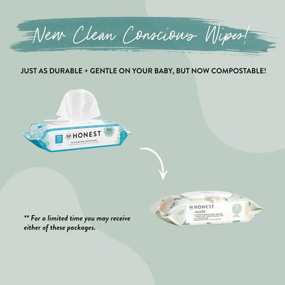 The Honest Company Multi-Use Baby Wipes, Pattern Play, 720 Count