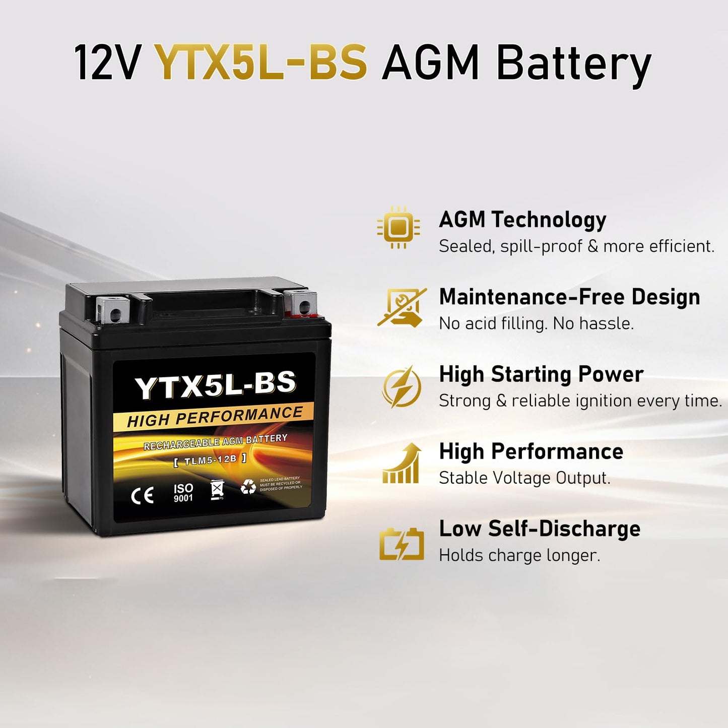 YTX14AH-BS 12V 12Ah Motorcycle Battery, 220CCA Rechargeable Maintenance Free Sealed AGM Battery, Powersport Replacement for ATV, UTV, Scooter