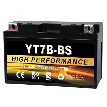 YTX14AH-BS 12V 12Ah Motorcycle Battery, 220CCA Rechargeable Maintenance Free Sealed AGM Battery, Powersport Replacement for ATV, UTV, Scooter
