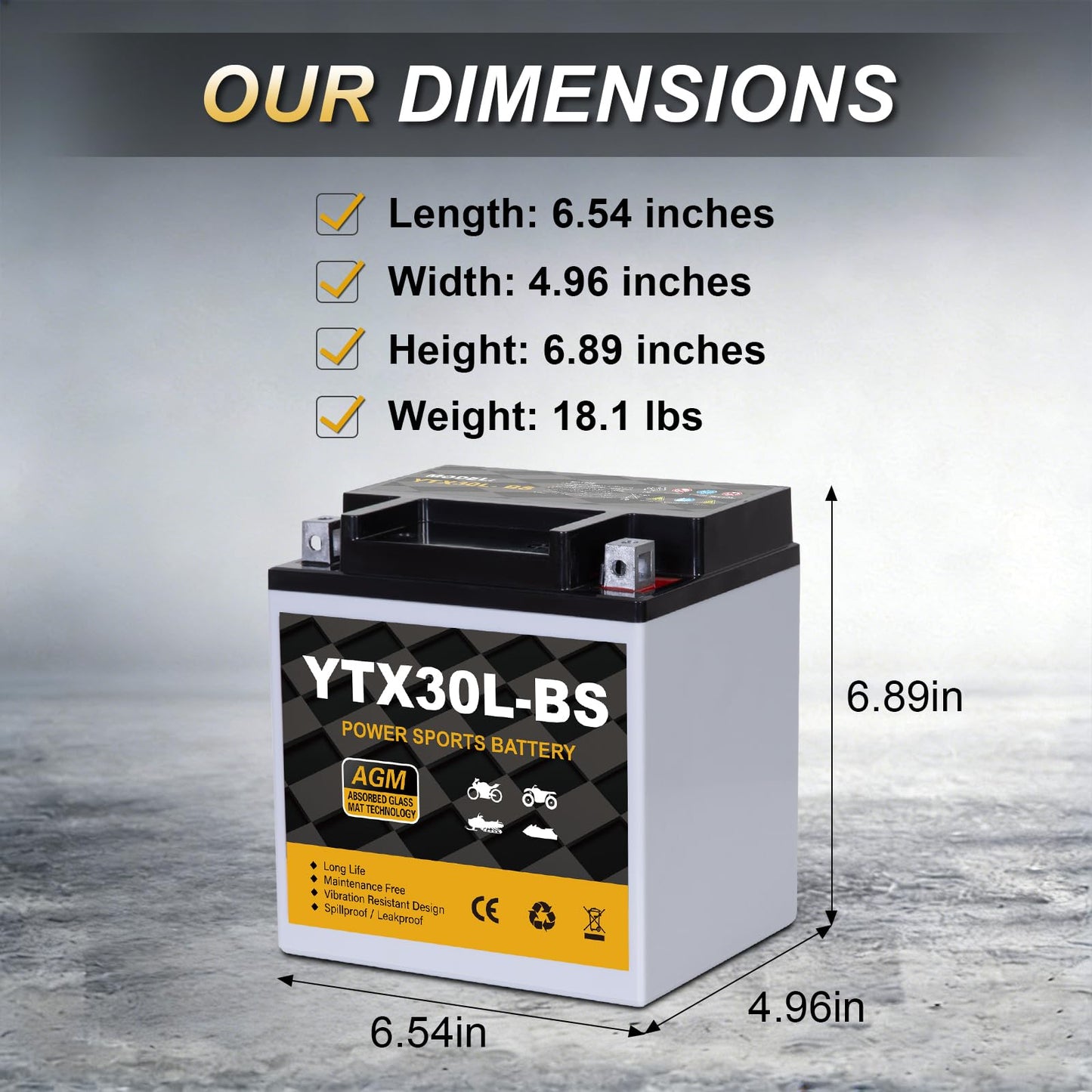 YTX14AH-BS 12V 12Ah Motorcycle Battery, 220CCA Rechargeable Maintenance Free Sealed AGM Battery, Powersport Replacement for ATV, UTV, Scooter