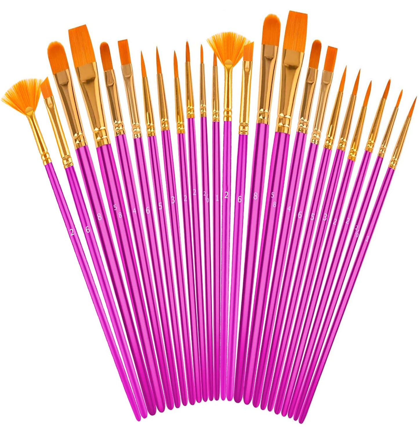 Soucolor Acrylic Paint Brushes Set, 20 Pcs Pointed Tip Artist Paintbrushes