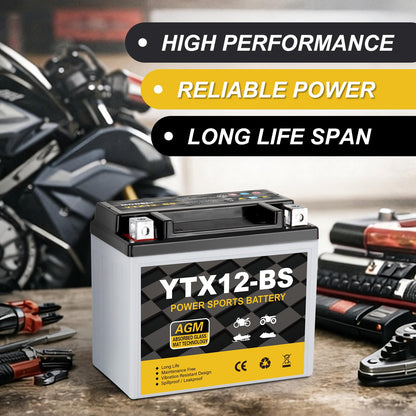 YTX14AH-BS 12V 12Ah Motorcycle Battery, 220CCA Rechargeable Maintenance Free Sealed AGM Battery, Powersport Replacement for ATV, UTV, Scooter