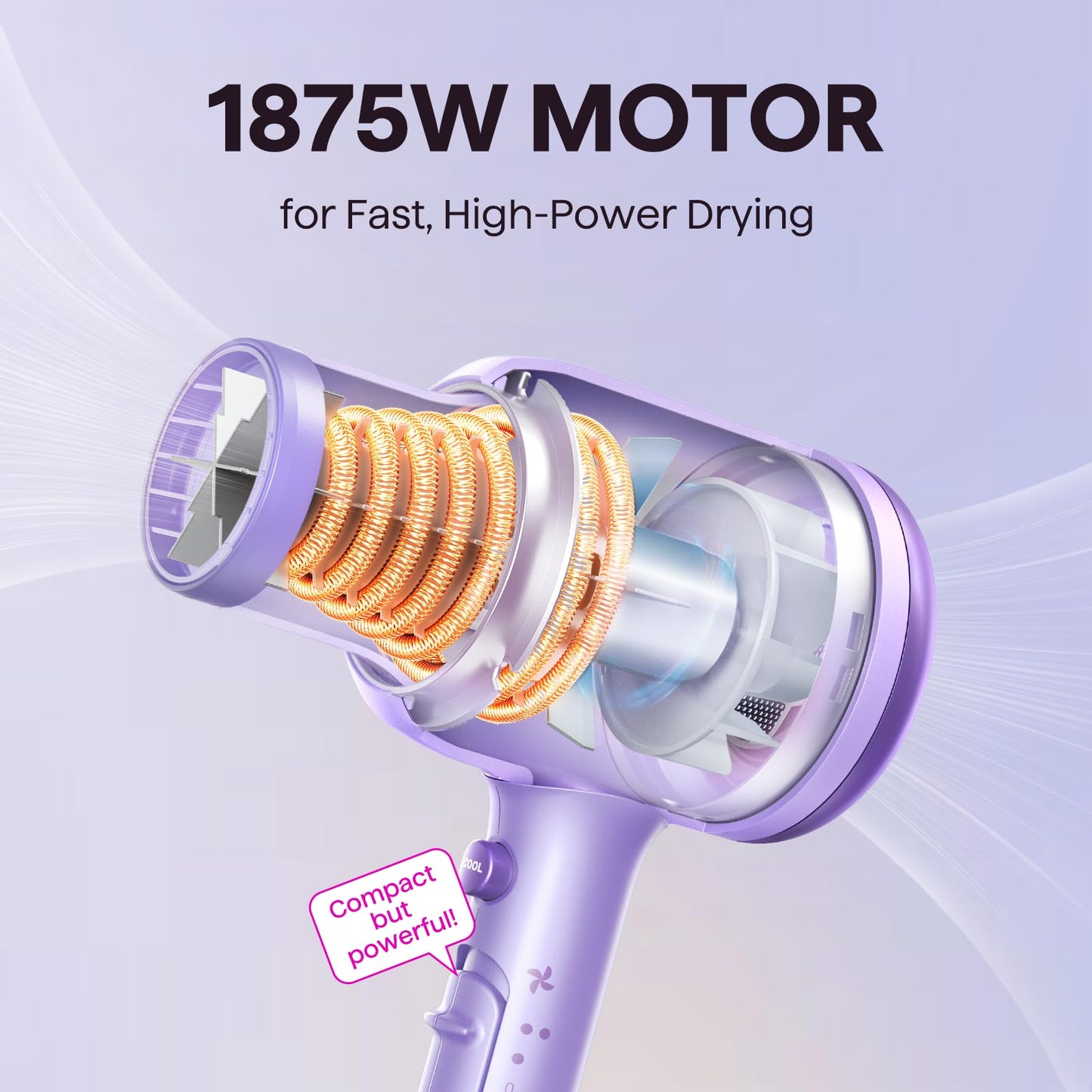 Wavytalk Blown Away Ionic Hair Dryer with Diffuser for Curly Hair