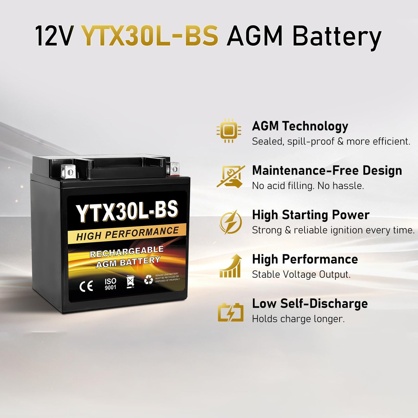 YTX14AH-BS 12V 12Ah Motorcycle Battery, 220CCA Rechargeable Maintenance Free Sealed AGM Battery, Powersport Replacement for ATV, UTV, Scooter