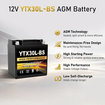 YTX14AH-BS 12V 12Ah Motorcycle Battery, 220CCA Rechargeable Maintenance Free Sealed AGM Battery, Powersport Replacement for ATV, UTV, Scooter