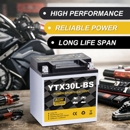 YTX14AH-BS 12V 12Ah Motorcycle Battery, 220CCA Rechargeable Maintenance Free Sealed AGM Battery, Powersport Replacement for ATV, UTV, Scooter