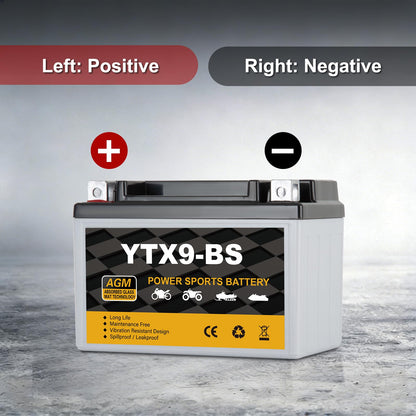 YTX14AH-BS 12V 12Ah Motorcycle Battery, 220CCA Rechargeable Maintenance Free Sealed AGM Battery, Powersport Replacement for ATV, UTV, Scooter