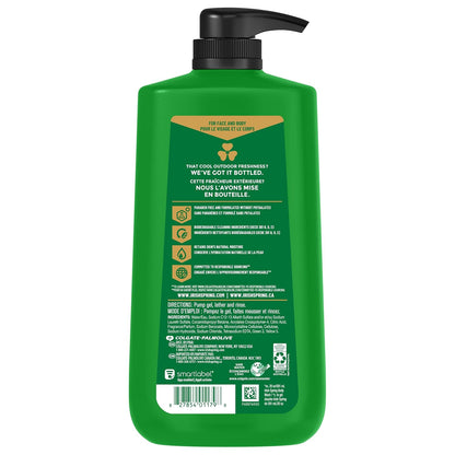 Irish Spring Mens Body Wash, Moisture Blast Body Wash for Men, Feel Fresh All Day, 30 Oz Pump Bottle