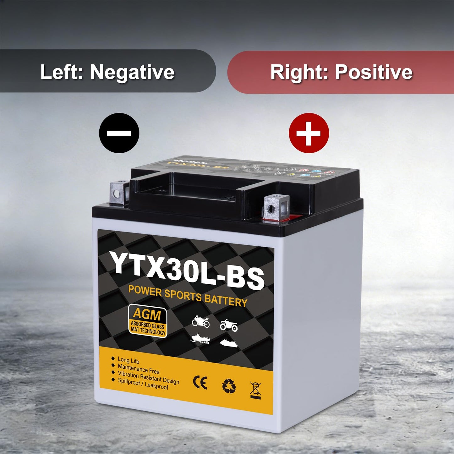 YTX14AH-BS 12V 12Ah Motorcycle Battery, 220CCA Rechargeable Maintenance Free Sealed AGM Battery, Powersport Replacement for ATV, UTV, Scooter