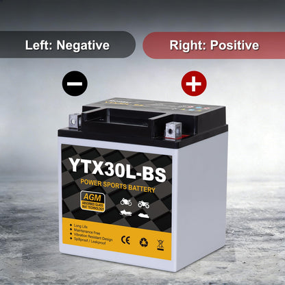 YTX14AH-BS 12V 12Ah Motorcycle Battery, 220CCA Rechargeable Maintenance Free Sealed AGM Battery, Powersport Replacement for ATV, UTV, Scooter