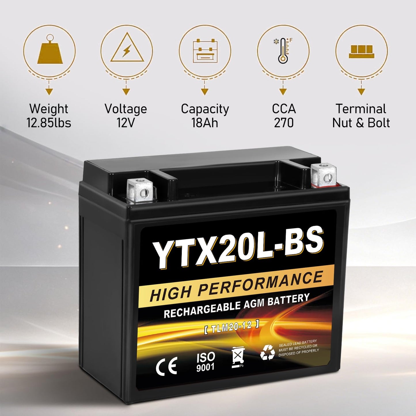 YTX14AH-BS 12V 12Ah Motorcycle Battery, 220CCA Rechargeable Maintenance Free Sealed AGM Battery, Powersport Replacement for ATV, UTV, Scooter