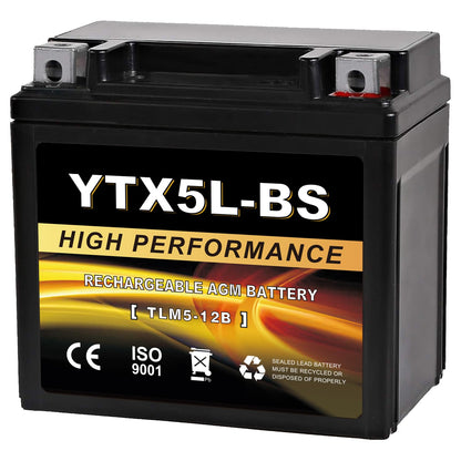 YTX14AH-BS 12V 12Ah Motorcycle Battery, 220CCA Rechargeable Maintenance Free Sealed AGM Battery, Powersport Replacement for ATV, UTV, Scooter