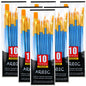 AROIC 10 Pcs Paint Brushes, Acrylic Oil Watercolor Painting Brush Set