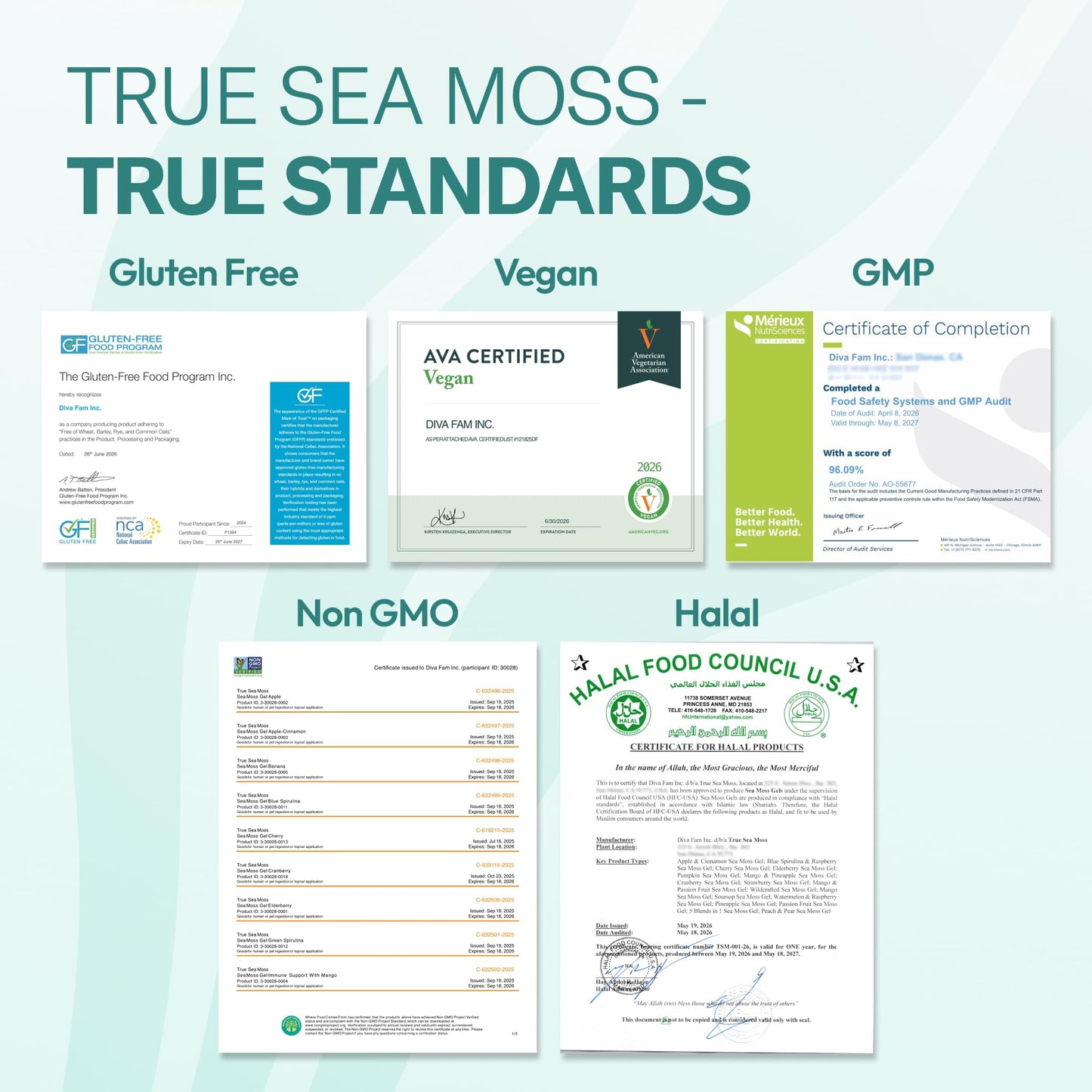 TrueSeaMoss Sea Moss Gel – Made in USA – Wildcrafted Seamoss, Fruits & Jarred Vegetables – Mango, Pack of 3 (Labels may Vary)