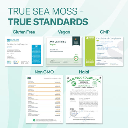 TrueSeaMoss Sea Moss Gel – Made in USA – Wildcrafted Seamoss, Fruits & Jarred Vegetables – Mango, Pack of 3 (Labels may Vary)