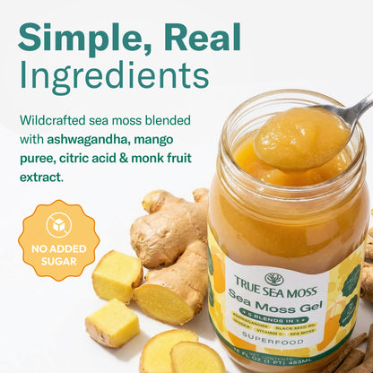 TrueSeaMoss Sea Moss Gel – Made in USA – Wildcrafted Seamoss, Fruits & Jarred Vegetables – Mango, Pack of 3 (Labels may Vary)