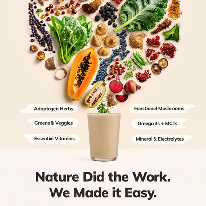 Ka’Chava Whole Body Meal Shake Chai 2 lb – Vegan Protein Powder with 85+ Superfoods & Greens – Plant-Based Meal Replacement with Probiotics & Digestive Enzymes – Gluten & Dairy Free (15 Servings)