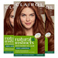 Clairol Natural Instincts Demi-Permanent Hair Dye, 4 Dark Brown | 1 Pack